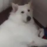 hisokeee