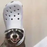 ratatooey