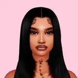 Indisim