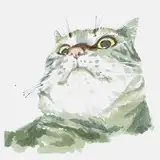 cololo