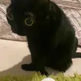 LRTTIEM
