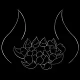 INVIROSE