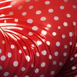 PolkaDot