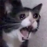 Naru