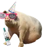 LazerPig