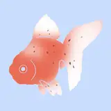 東錦