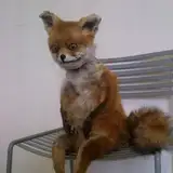 bmabmaxxx